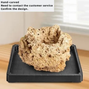 S Square Tray