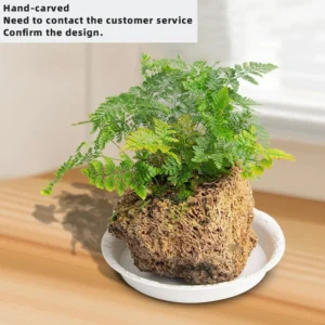 S Rabbit Fern Round