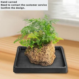 S Rabbit Fern Square