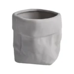 SKU Paper Bag Planter 08 150x150