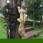SKU Realistic Squirrel Decor 06 150x150