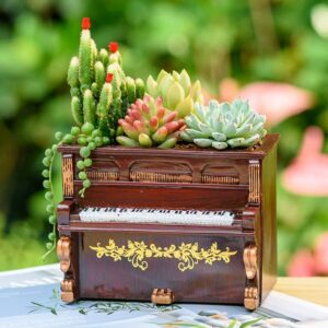 Retro Rosewood Cactus Piano Planter