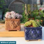 SKU Rustic Succulent Planter 03 150x150