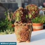 SKU Rustic Succulent Planter 04 150x150
