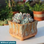 SKU Rustic Succulent Planter 06 150x150