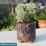 SKU Rustic Succulent Planter 09 150x150