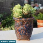 SKU Rustic Succulent Planter 12 150x150