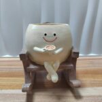 SKU Smiling Succulent Planter Pot 01 150x150