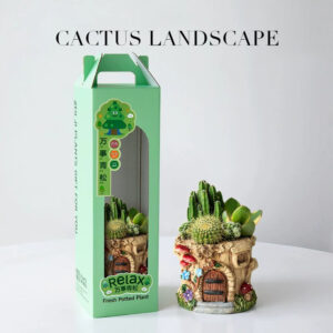 Forest Mushroom Cactus Gift Box