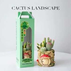 Treehouse Mushroom Succulent Gift Box