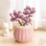 SKU Succulent Plant Pots 03 150x150