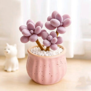 Gollum Succulent Happy Pot