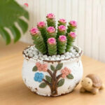 SKU Succulent Plant Pots 04 150x150