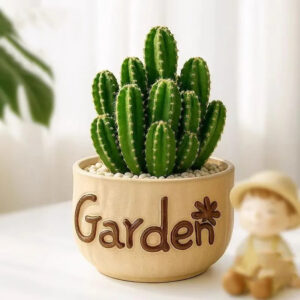 String of Buttons Tree Pot