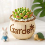 SKU Succulent Plant Pots 06 150x150