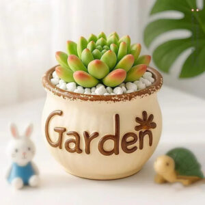 Fairy Castle Cactus Garden Pot