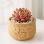 SKU Succulent Plant Pots 09 150x150
