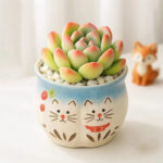 SKU Succulent Plant Pots 11 150x150