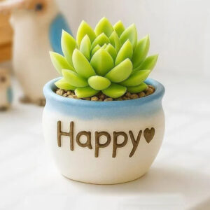 Chihuahuaensis Floral Branch Pot