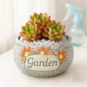 Golden Glow Succulent Happy Pot