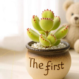 Jelly Bean Plant Flower Pot