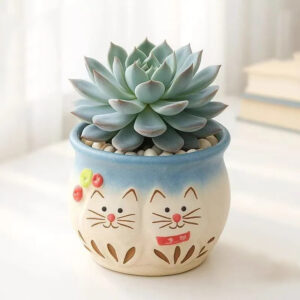 Bear's Paw Succulent Pot