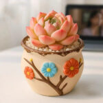 SKU Succulent Plant Pots 19 150x150