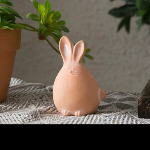 Small Long-Ear Rabbit