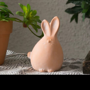 Large Long-Ear Rabbit