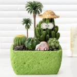 SKU Textured Cement Succulent Planter 02 150x150