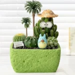 SKU Textured Cement Succulent Planter 03 150x150