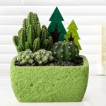 SKU Textured Cement Succulent Planter 05 150x150
