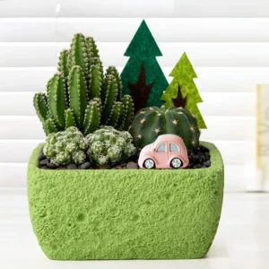 Forest Island Pink Car