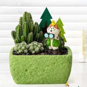 Forest Island Explorer Cat