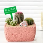 SKU Textured Cement Succulent Planter 10 150x150