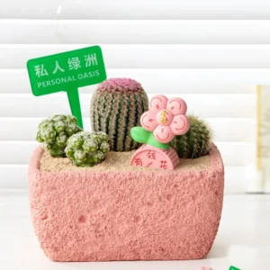 Pink Oasis Rich Flower