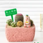 SKU Textured Cement Succulent Planter 15 150x150