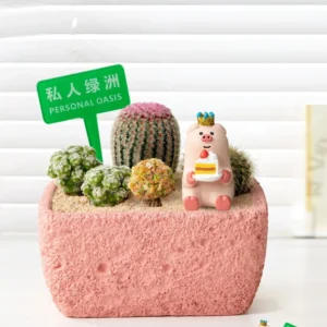 Pink Oasis Birthday Pig