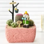 SKU Textured Cement Succulent Planter 17 150x150