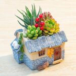 SKU Vintage Farmhouse Succulent Planter 02 150x150