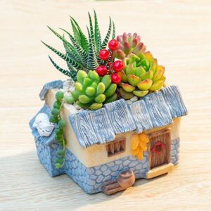 Wooden Roof Cottage Red Berry Succulent