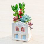 SKU Vintage Farmhouse Succulent Planter 09 150x150