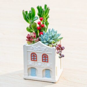 White Qilou Building Succulent Planter