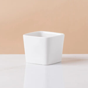 White Square Succulent Pot 2.8in