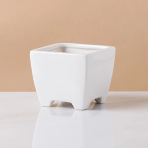 Inward Curved Square Pot 2.7in