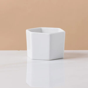 Large White Hexagon Planter 3.7in