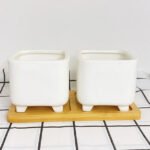 SKU White Ceramic Succulent Pots 26 150x150