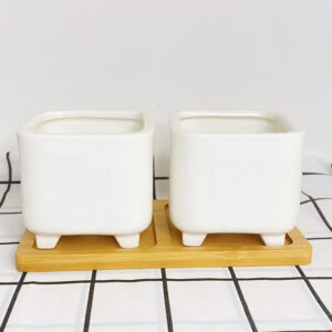 Set 2 Footed Square Pots w/ Tray 2.7in