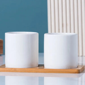 Set 2 Large Cylinder Pots w/ Tray 3.1in