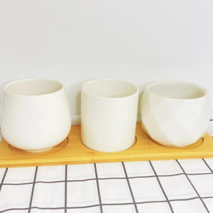 Set 3 Mixed Pots w/ Round Tray 3.1in